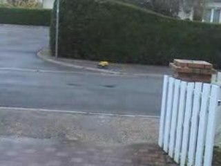 Tamiya Lunch Box à Genlis City 2