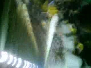 Asse - Bruges : Ambiance après but