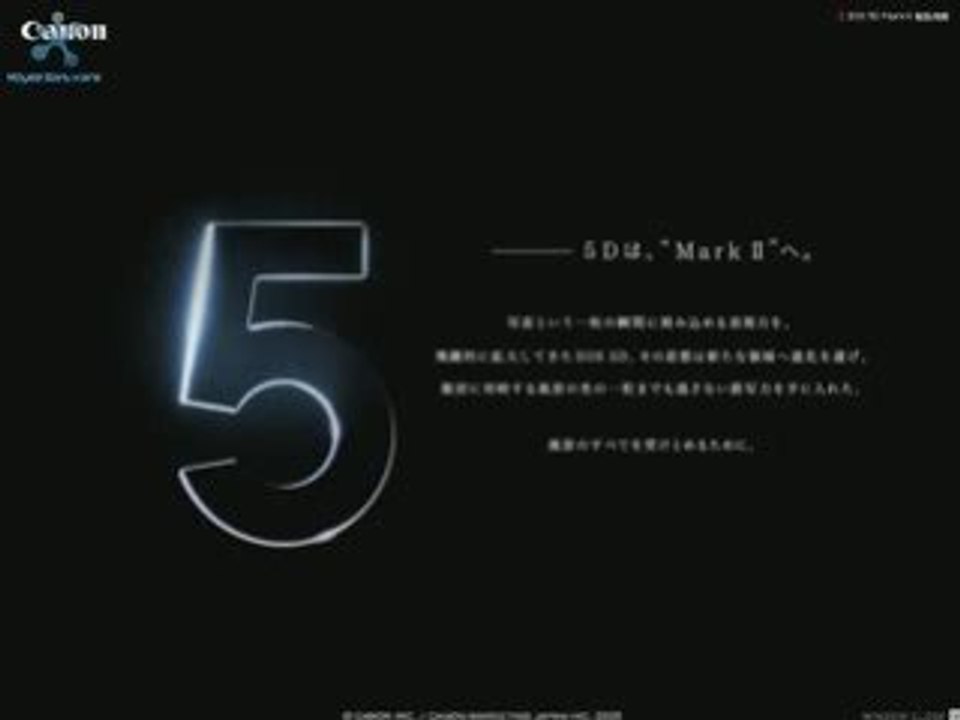 CANON EOS 5D Mark II 21MP HD Movie SLR Digital Camera