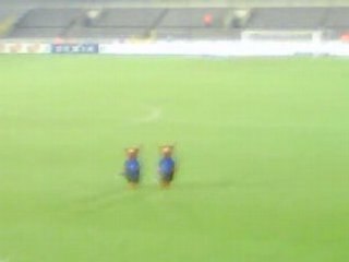 Asse - Bruges : Les Nounours