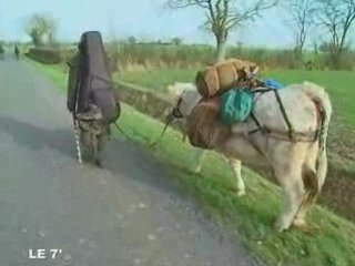 Insolite : Hadrien et sa vache de retour à Valanjou