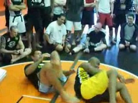 Antonio Minotauro Nogueira Demos Armbar #2