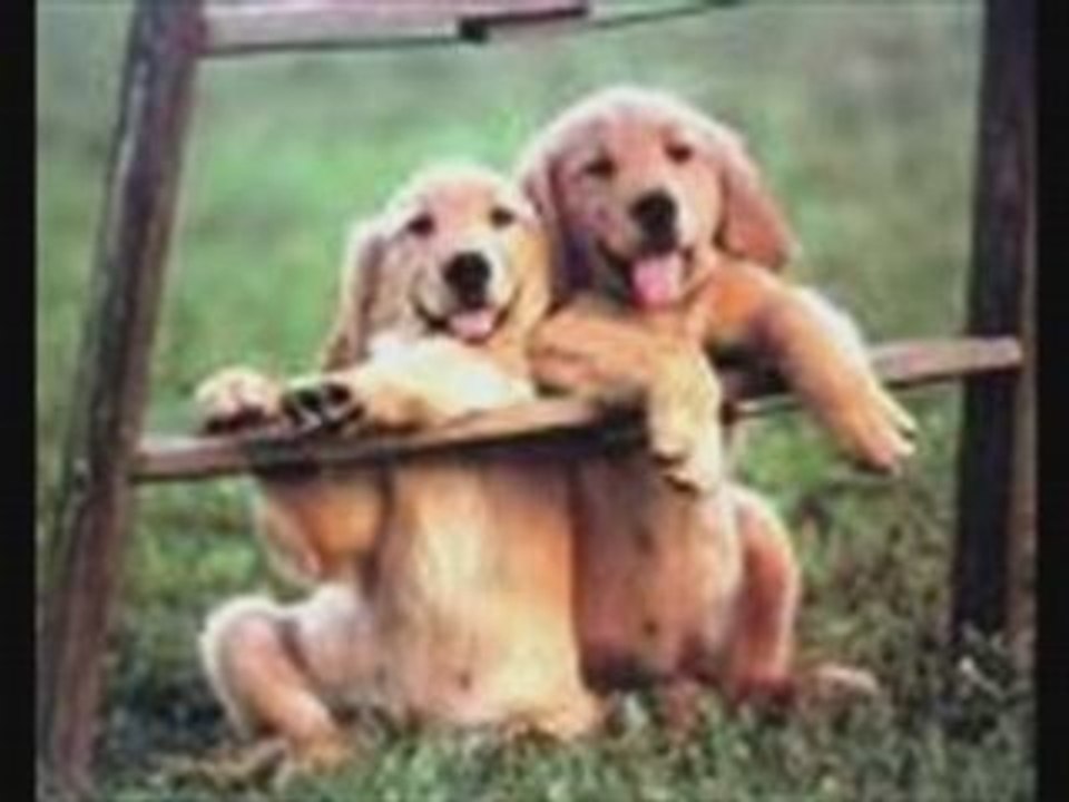 Dj hüseyin kandaz küçük ismail yk yar girme