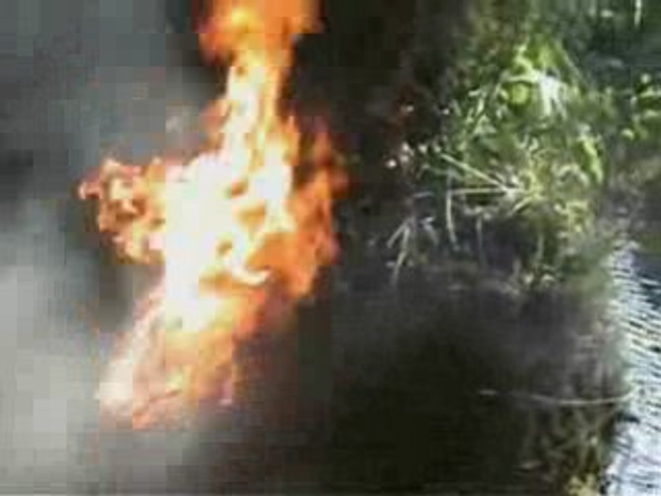Feu de camp