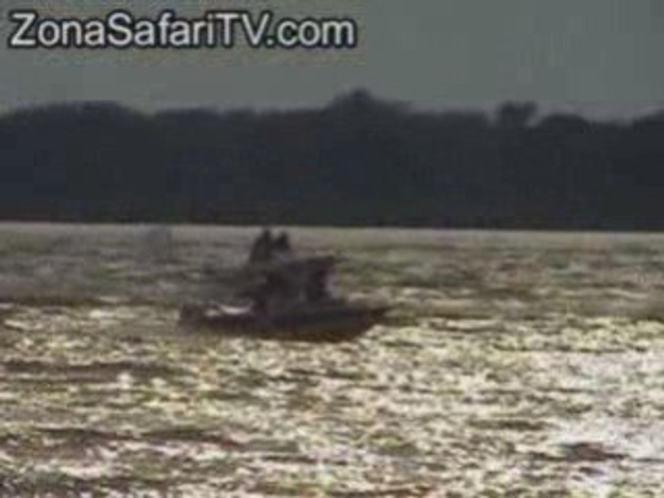 Concurso Argentino de Pesca del Surubí (parte 10) ZonaSafari