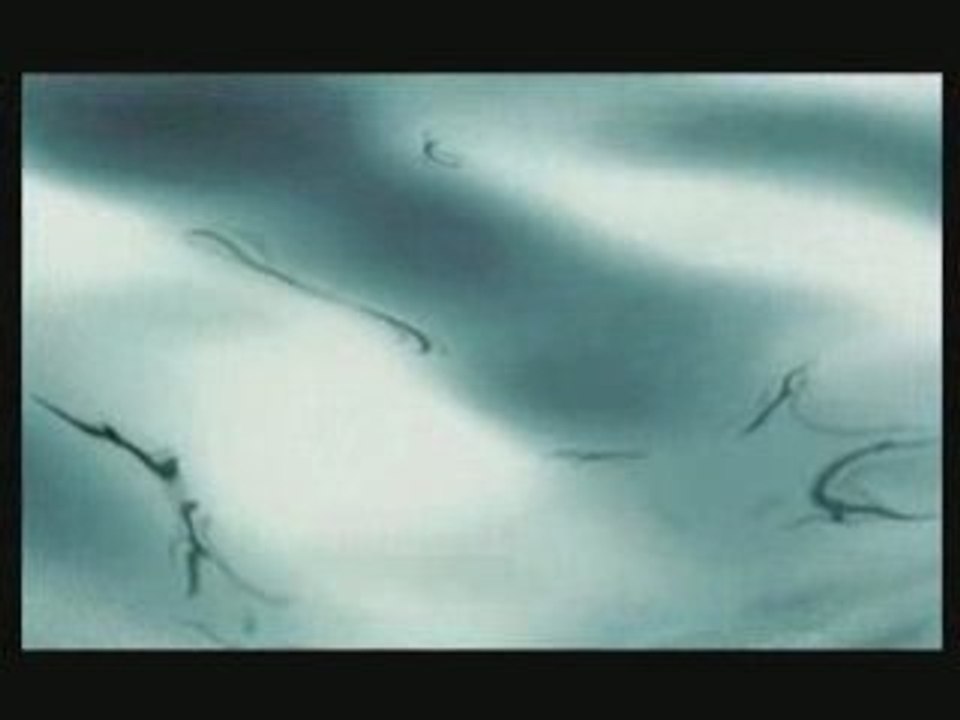 L'homme qui charmait les requins Partie 2/5