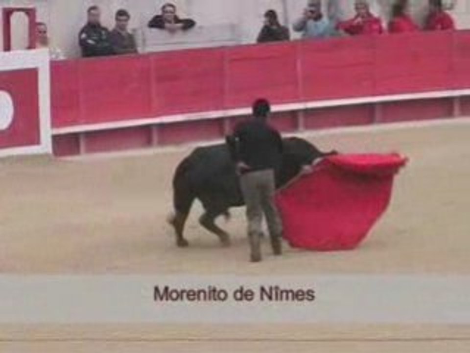 Le Printemps des Jeunes Aficionados Année 2008