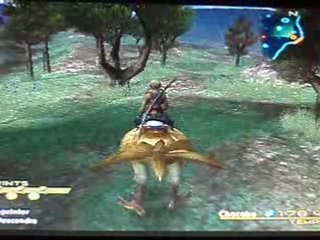 FFXII VAAN EN ACTION NIV 85