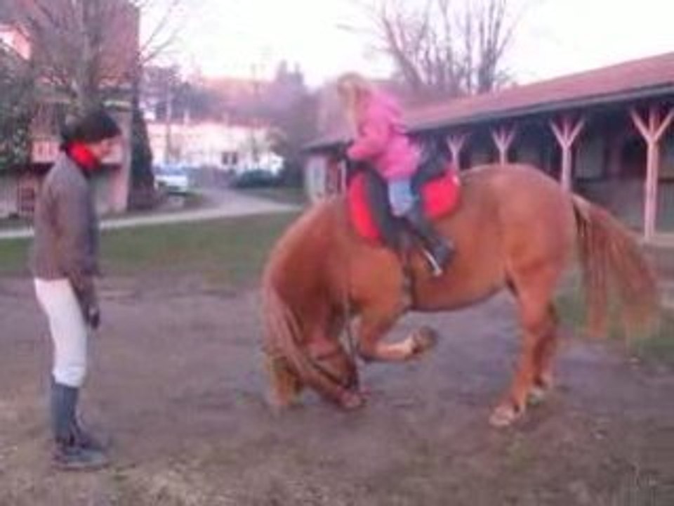 praline révérence 1