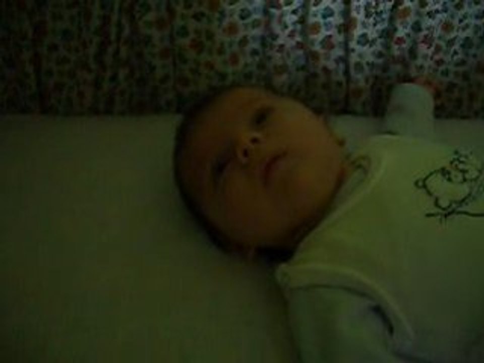 nils 29.11