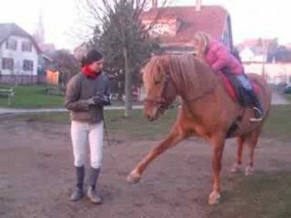 praline 2