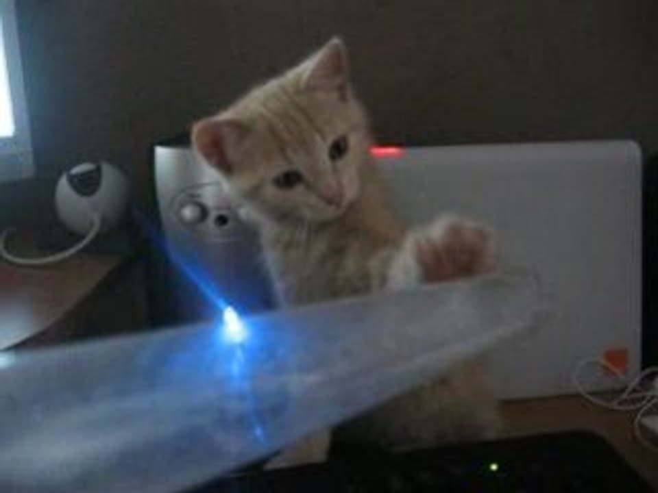 Lilou qui joue
