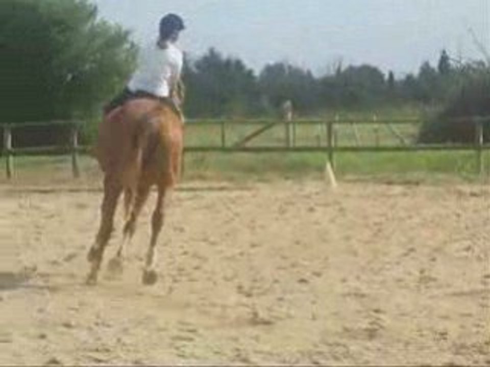 l'equit