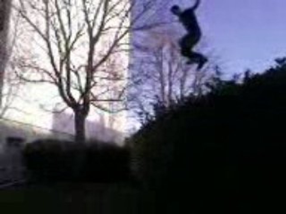 saut + haie