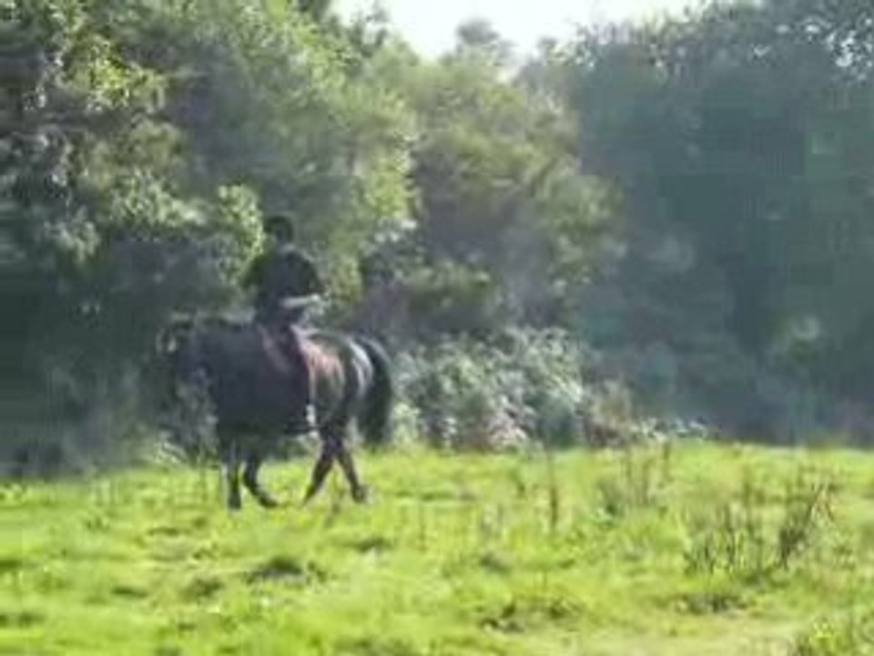 Au galop? Raté...