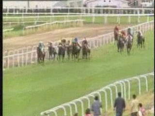 2008 (210) PREMIO A GALOPAR (CATEGORIA C) (ESTAY)