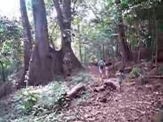 promenade en forêt de l'ilet la mère