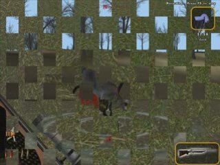 Deer hunter 2004
