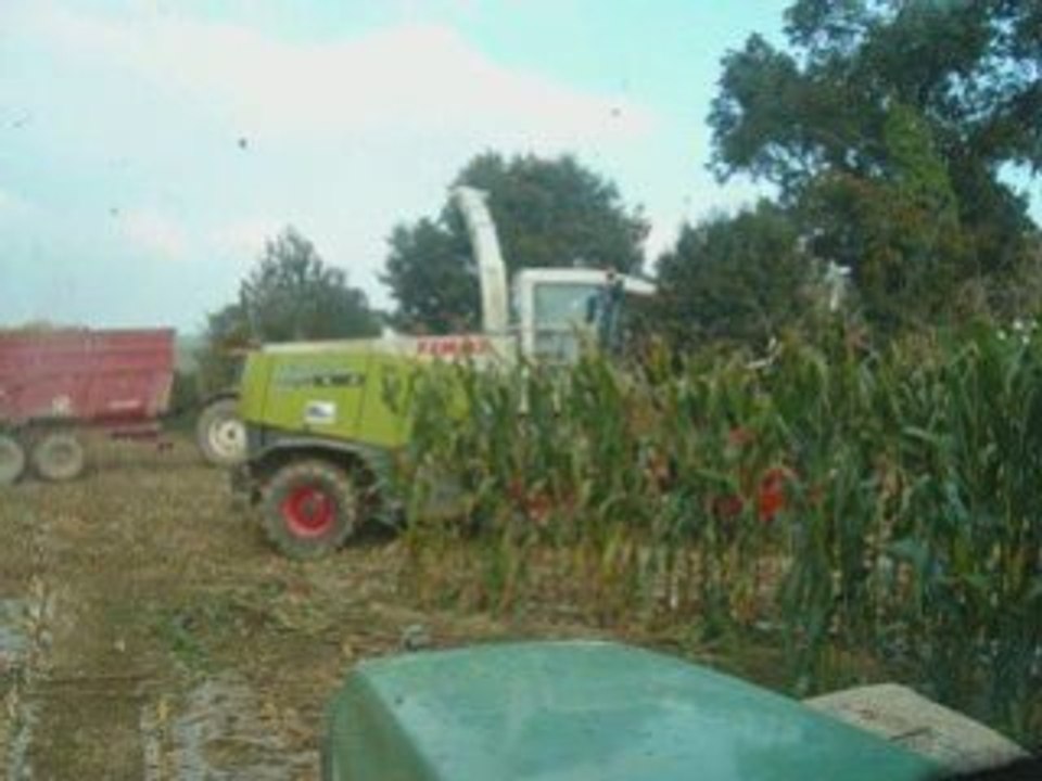 Ensilage