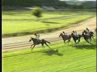 2008 (213) Premio Sayc Asesores (H) (RUDOLPH)