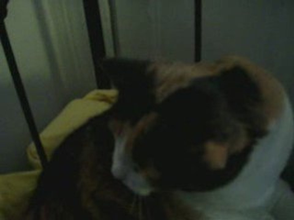 Mirabelle Chante SOS