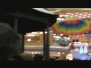 Freeze Montréal 2008