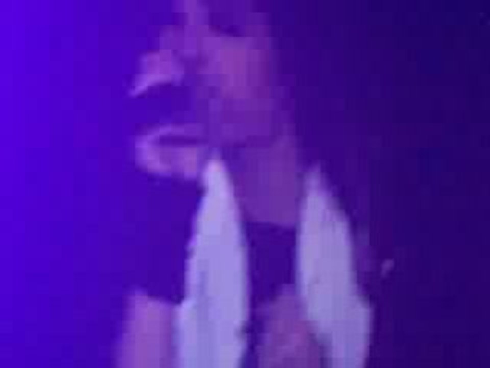 concert tokio hotel montpellier _ ich bin da