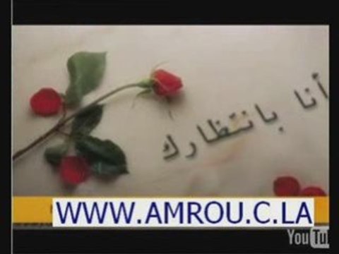 Cheb amrou chkon li gal cheb amro chab amro