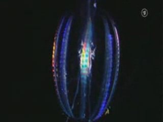 DR JONATHAN REED THE AWAKENING ODISEALINK.COM PART 17