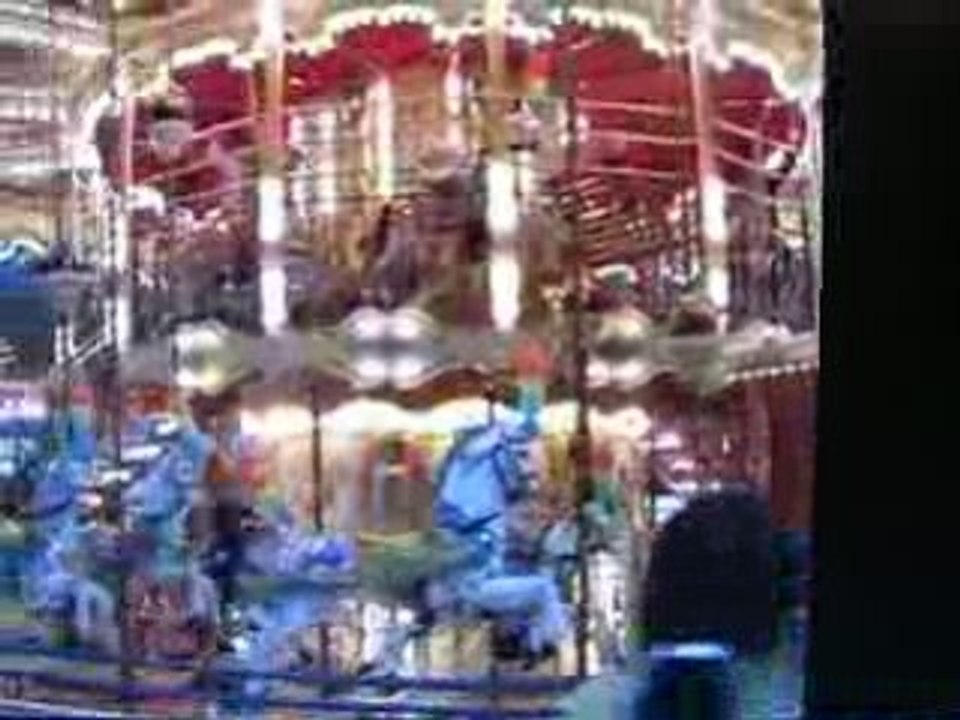 Photo 005
