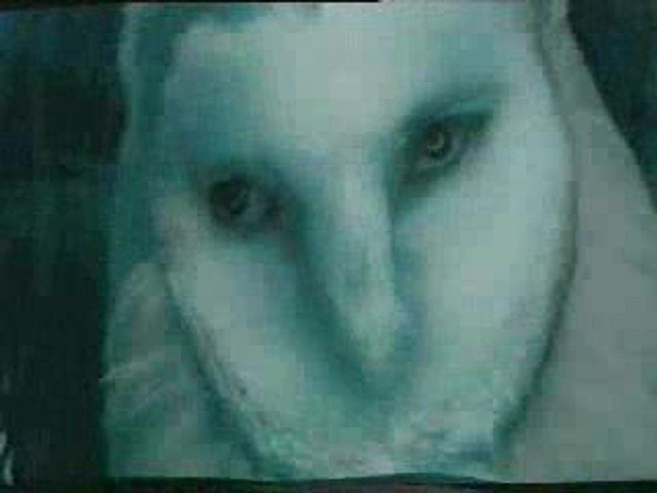 mother earth- Within Temptation