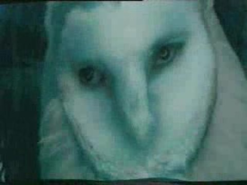 mother earth- Within Temptation