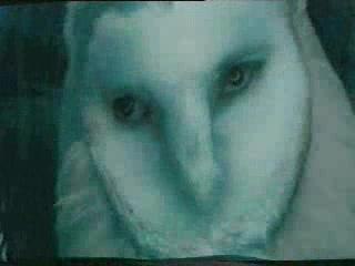 mother earth- Within Temptation