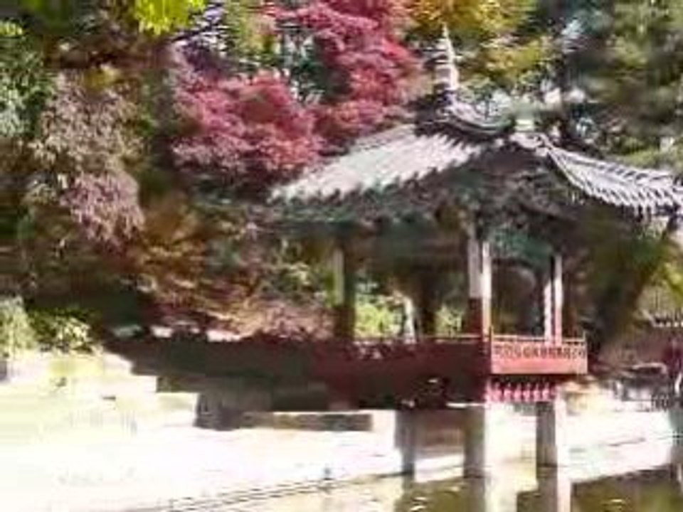 Falling Leaves, Trickling Water