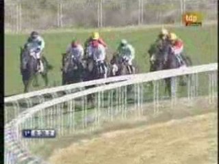 2008 (453) PREMIO MMARM (CATEGORIA C) (AMBASADOR)