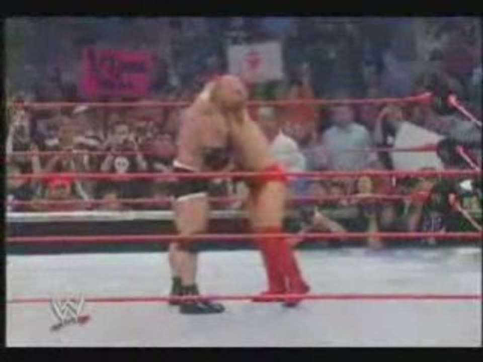 Top 20 WWE Finishers