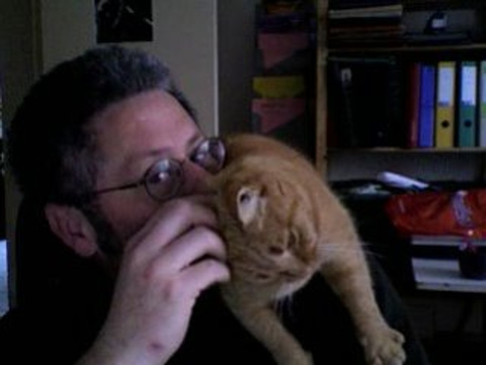 Calin-copain