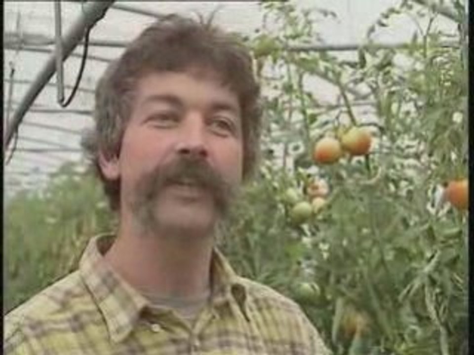 Les hortillonnages d'un siècle à l'autre