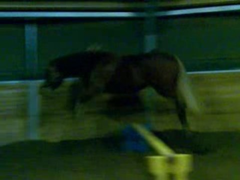 Saxo saute en liberté 26/11/08