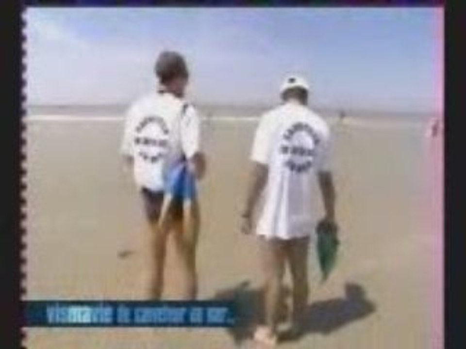 Snsm 2