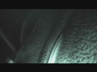 TWO WUV - TALLY HALL