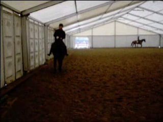 Orchidée-partie montée