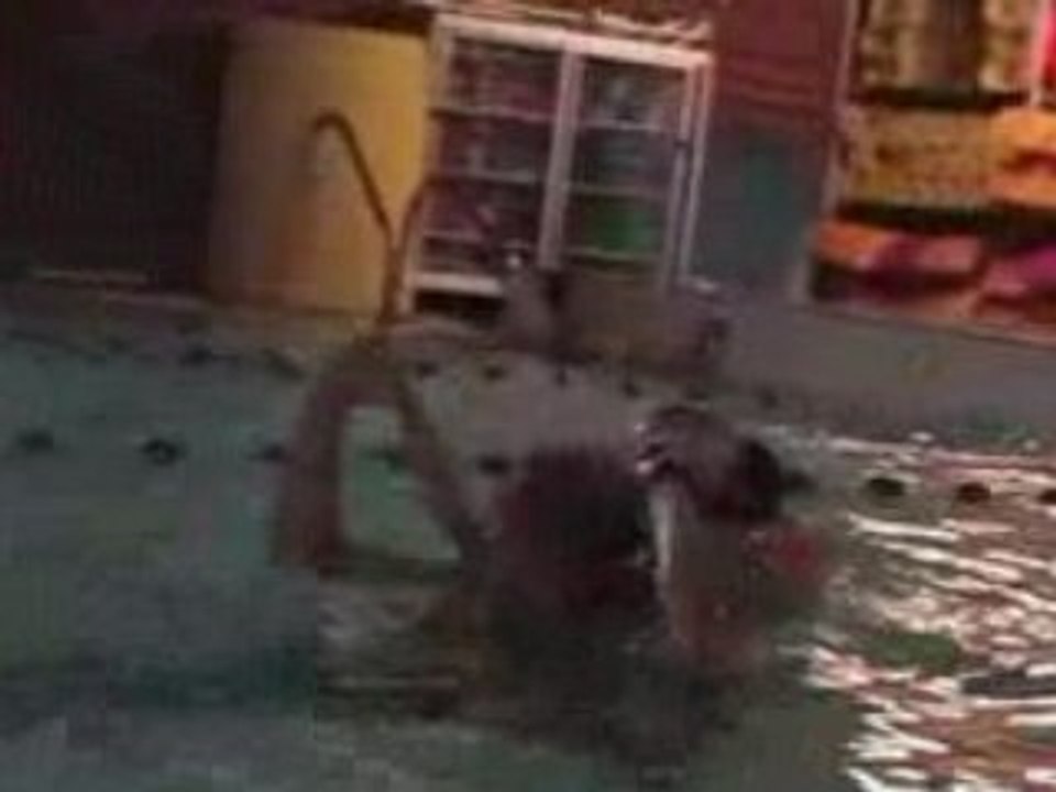 Piscine avec les grau