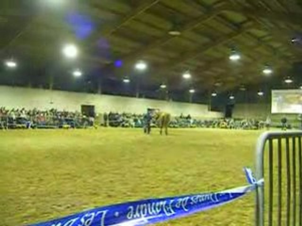 DSCF0376