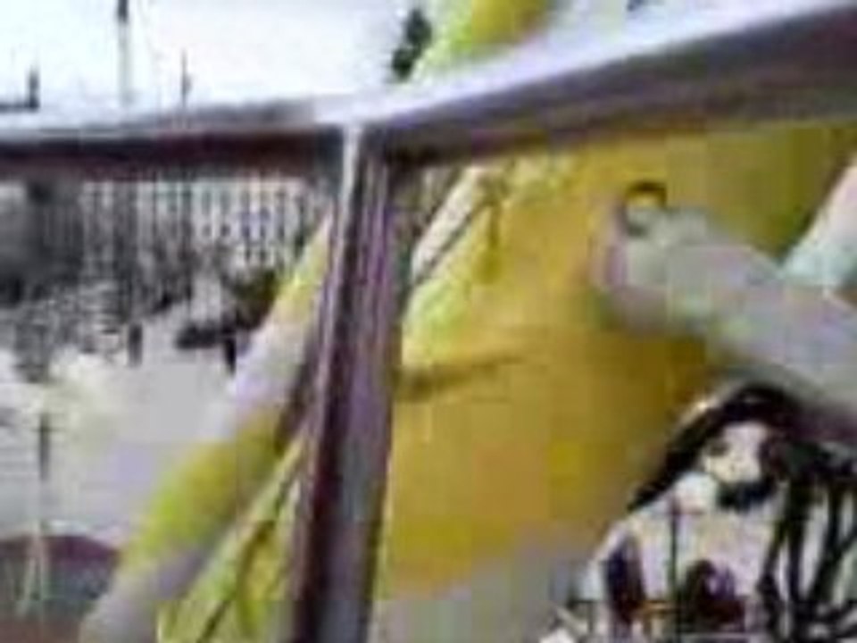 Vidéo0057