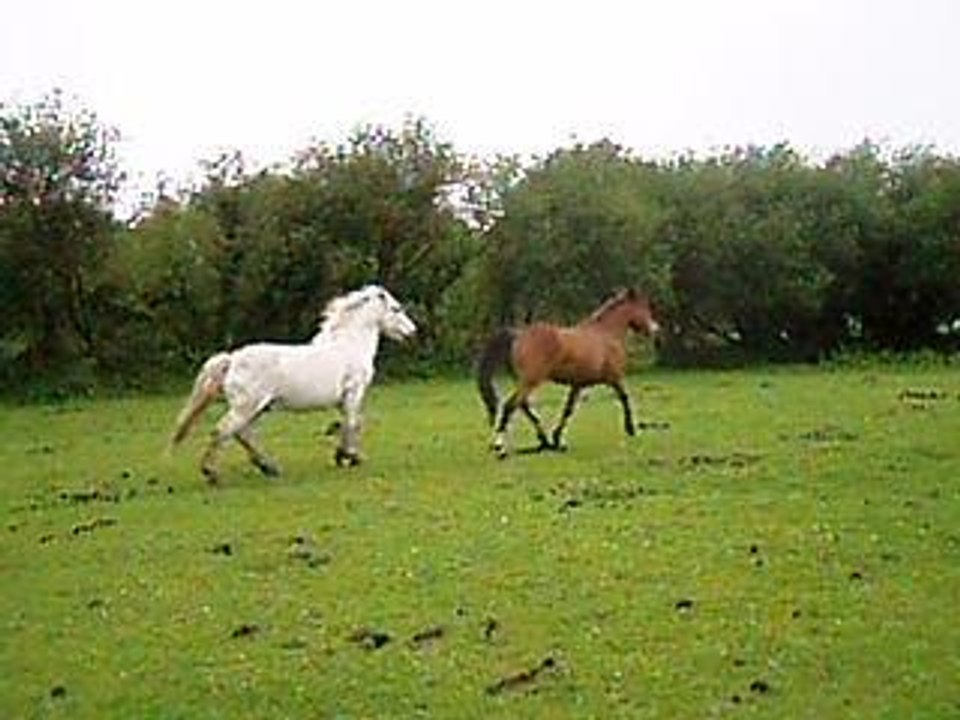 Naman 25mai 2006_1