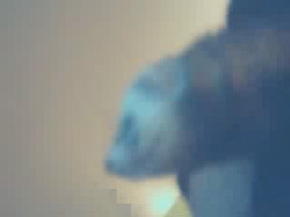Furet