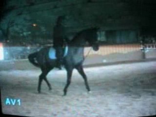 Bibiche Fofolle: A Fun Character