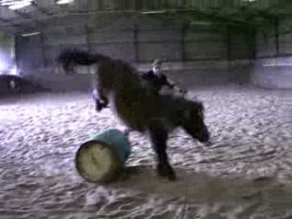 mn poons jipsy