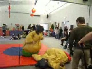 Combat de Sumo au Toulouse Game Show 2008 (TGS)